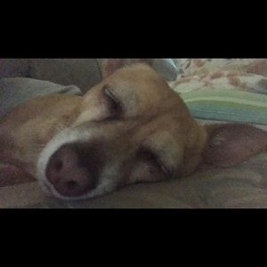 Meet your Posher, Alejandro